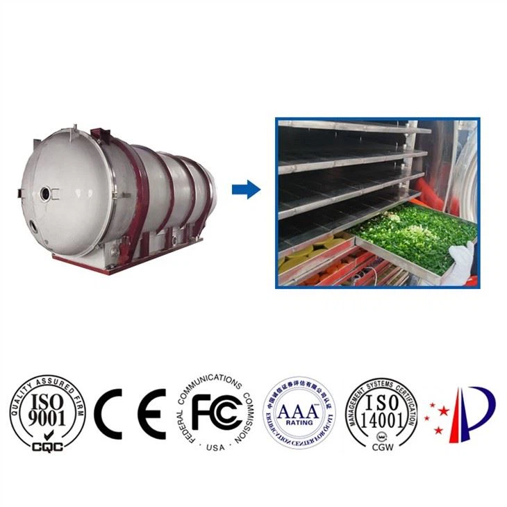 Economical Lyophilizer For Freeze Dried Food