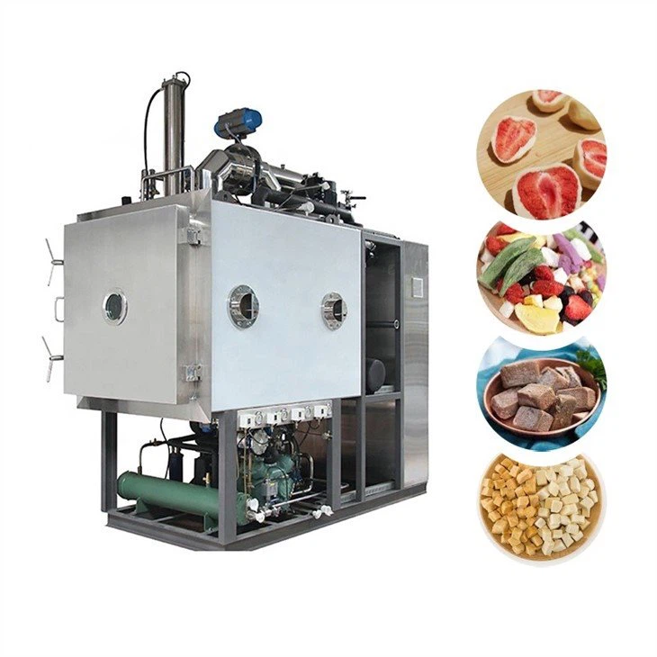 lyophilization machine competitive price
