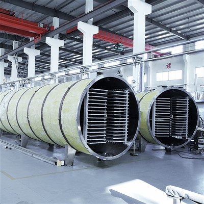 Pielāgots pārtikas vakuuma iesaldēšanas žāvētāja piegādātājs